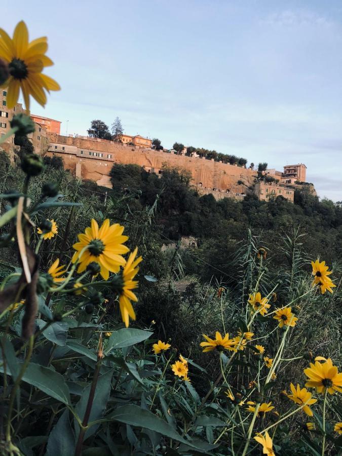 Апартаменти Il Girasole Storico Пітільяно Екстер'єр фото